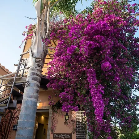 Bougainvillea Garden Retreats - Near The Beach * Farai